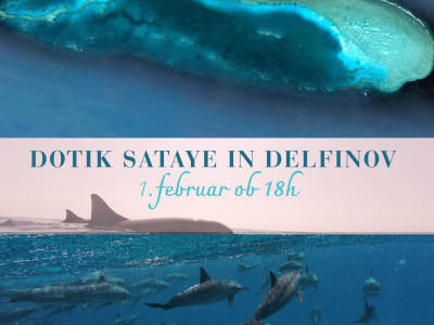 Dotik delfinov in Sataye - brezplačen dogodek