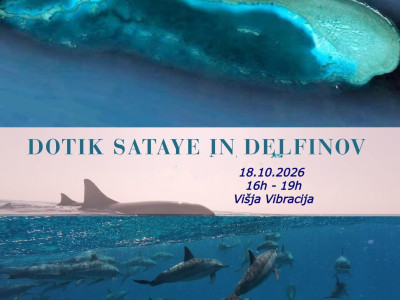 Dotik delfinov in Sataye - brezplačen dogodek v živo