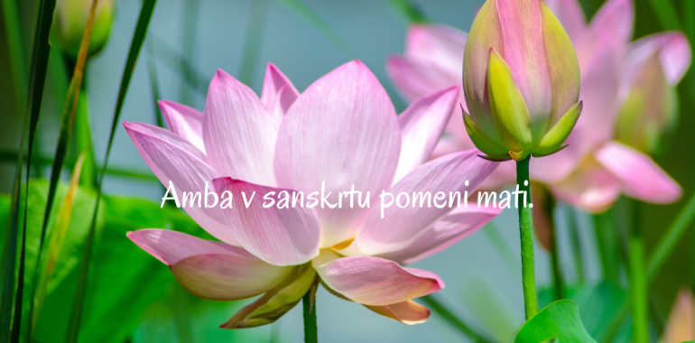 Duhovna akademija Amba