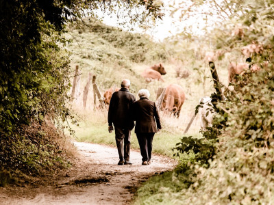 Zakaj je hoja dobra?