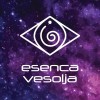 Esenca vesolja, delavnice, meditacije, svetovanje, duhovna potovanja