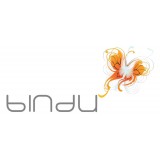 Bindu, društvo za osebnostni razvoj in proučevanje starih tradicij, kultur in znanj