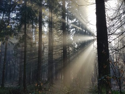 Leto 2018, leto iluminacije, leto svetlobe