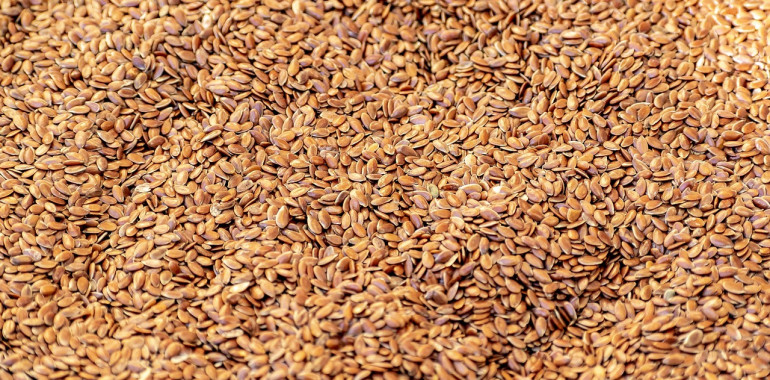 Laneno seme, seme z neštetimi plusi