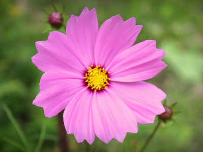 Po poti ljubezni – 3. del