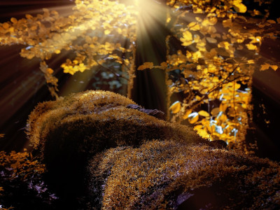 Duhovno vodstvo tedna (7. – 14. 10. 2024): kar je obstalo, se bo pričelo premikati!