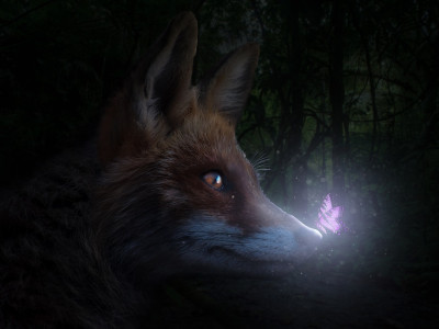 Tedensko duhovno vodstvo (23. - 30. 3. 2025): prisluhnem svojemu notranjemu svetu