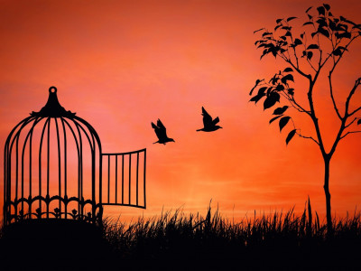 Odgovornost – svoboda? Skupnost – posameznik? 