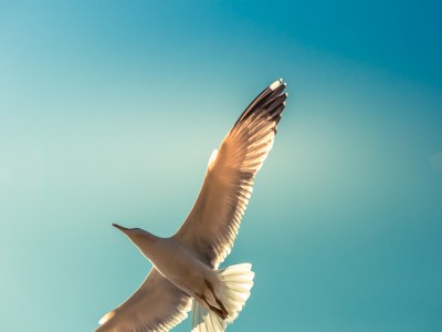 Brez skrbi – izberi pot brezskrbnosti