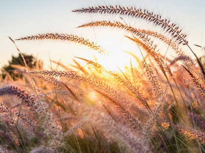 Vaja: priklic izgubljene energije