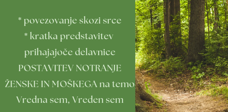 Zoom predstavitev Postavitev notranje ženske in moškega