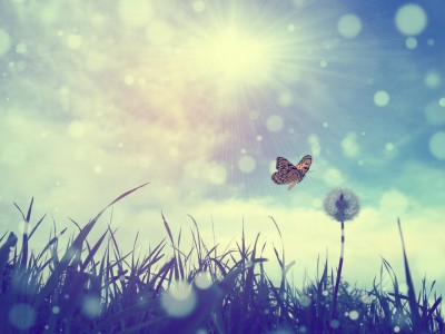 Kako zanositi po izgubi otroka ali splavu?