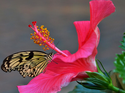 8 načinov za prebuditev zaupanja