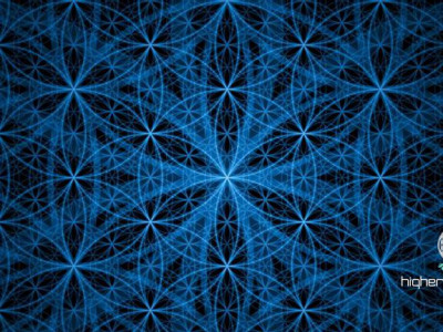 Kaj je to ROŽA ŽIVLJENJA (vir: )