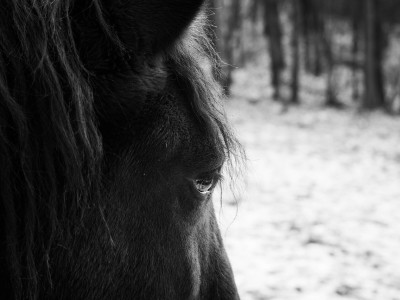 Duhovno vodstvo tedna (15. - 21. 7. 2024): odrecite se krivdi ali obžalovanju