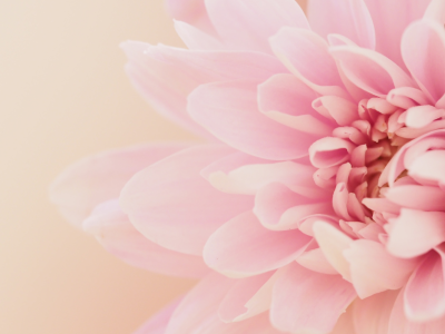 V objem ženske energije