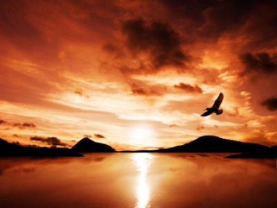 Kaj privlači točno določen tip dogodkov v naše življenje in odreja našo reakcijo?