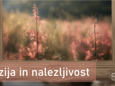 Iluzija in nalezljivost