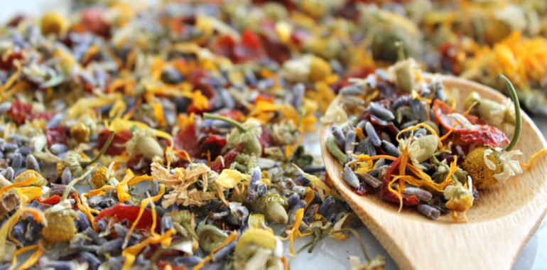 Pomoč pri prijavi čajne mešanice na ocenjevanje Festival čajev