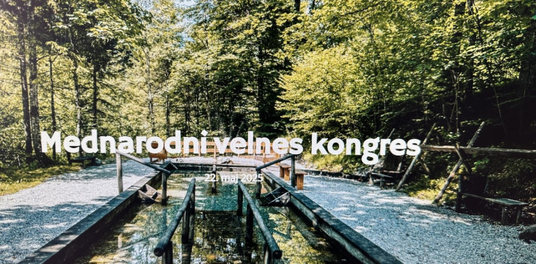Mednarodni velnes kongres . 22.5.2025 preko spleta