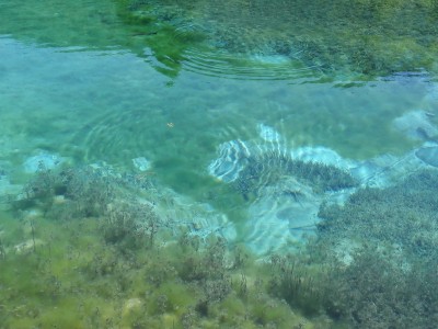 Kakšno notranje stanje potrebujemo za oblikovanje novih možnosti?