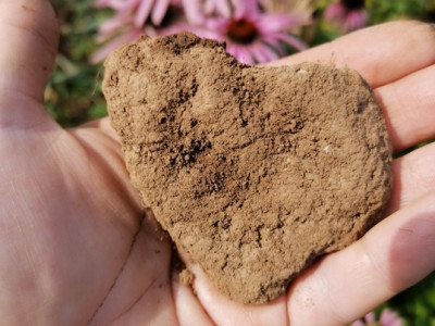 Če sejemo ljubezen, bo zraslo še več ljubezni ❤