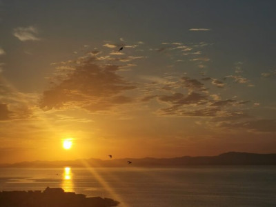 Sprejemanje situacije takšne, kot je