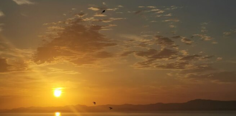 Sprejemanje situacije takšne, kot je