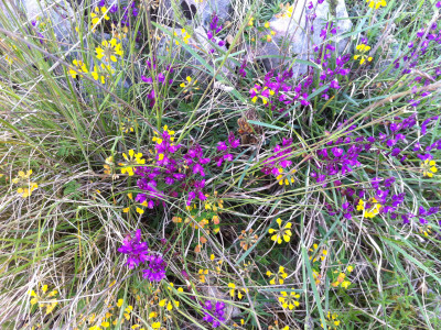 Meditacija ni le duhovna moda, ampak dejansko pomaga.
