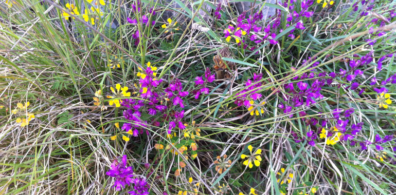 Meditacija ni le duhovna moda, ampak dejansko pomaga.