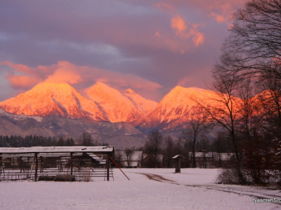 Kako izkoristiti energijo solsticija, adventa, božiča,… in čas korone obrniti sebi v prid?