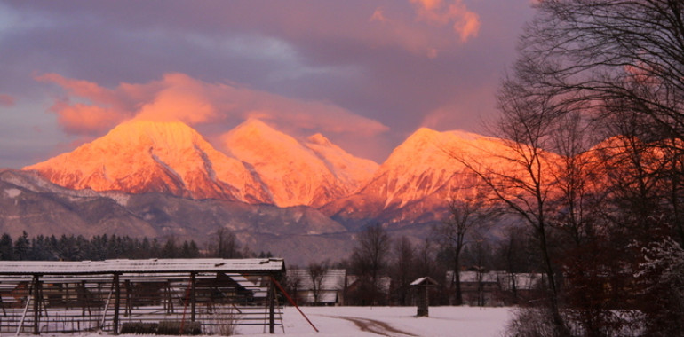 Kako izkoristiti energijo solsticija, adventa, božiča,… in čas korone obrniti sebi v prid?