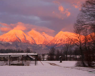 Kako izkoristiti energijo solsticija, adventa, in božiča obrniti sebi v prid?