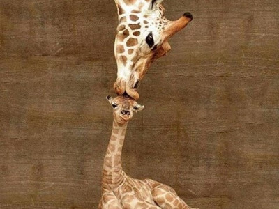 Vsi otroci so naši otroci