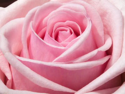 Inspiracija - naj te navdihne življenje