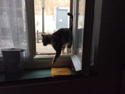 Za umetnike/ kreativce 