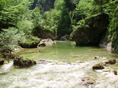 Masaža Pojoče srce