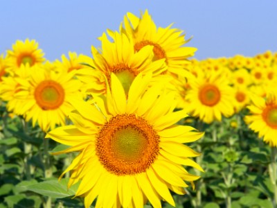 Tedenski numerološki namig 18- –24. 7. 2016