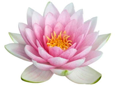 5 suter za Vodnarjevo dobo