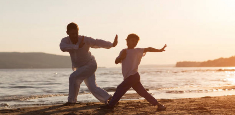 Društvo Tolmun, tai chi, qi-gong