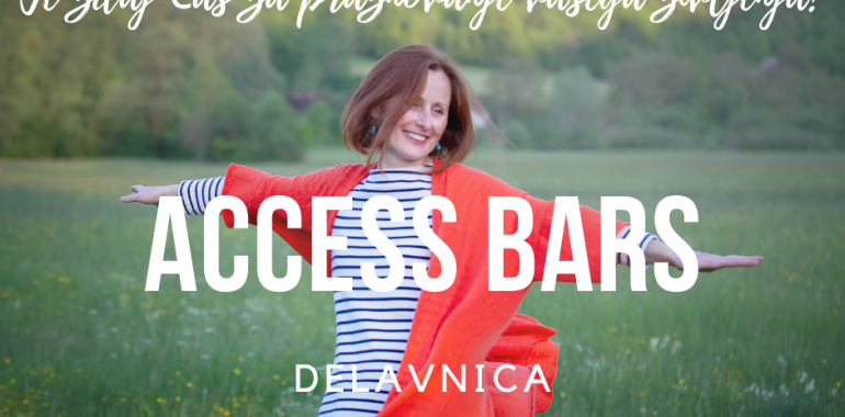 Access Bars® delavnica - bodi darilo svetu
