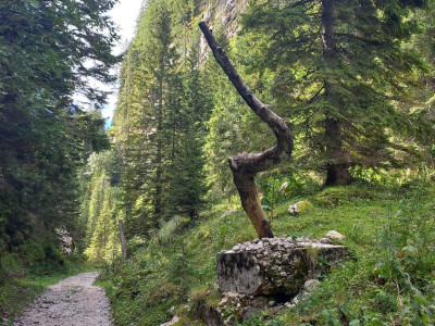 Soul retrieval, ekstrakcija in depossession: kako ti lahko pomagajo te tri šamanske tehnike?