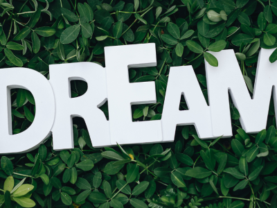 Kako se naravnati, da pogumno in kar najhitreje uresničite svoje cilje