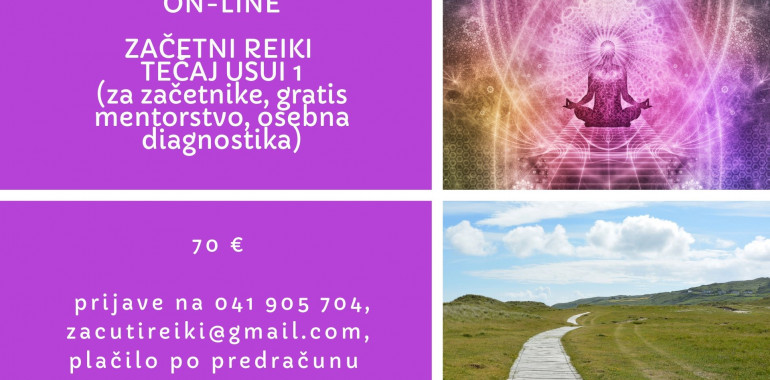 Online začetni reiki tečaj USUI 1, gratis diagnostika,mentorstvo