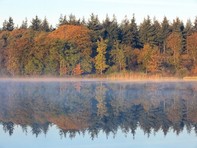Z ajurvedo bo jesen še lepša!
