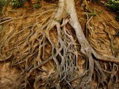 RPT - reference point therapy