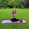 Joga s Tino, joga