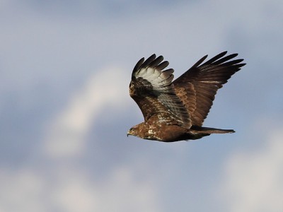 Ljubeče prisluhni tišini svojega Srca