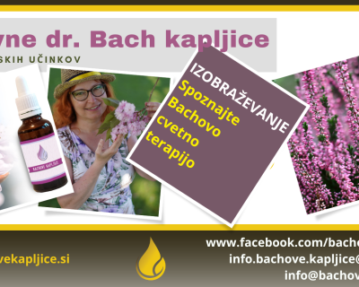 Izobraževanje: Spoznajte Bachovo cvetno terapijo