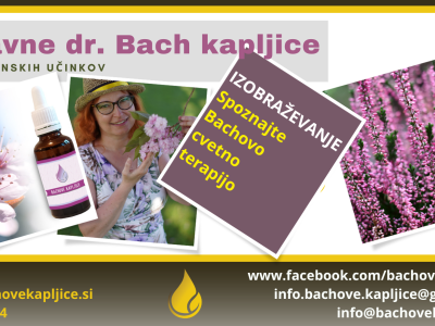 Izobraževanje: Spoznajte Bachovo cvetno terapijo
